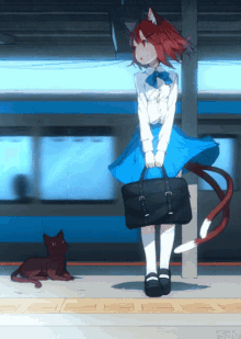 neko wallpaper anime cat