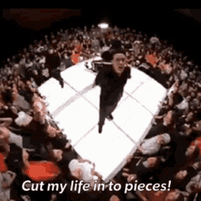cut my life to pieces papa roach last resort jumping