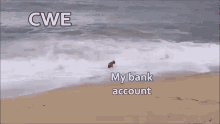 Crushed Bank Account GIF - Crushed Bank Account Beach GIFs