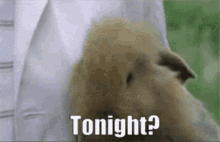 Tonight When GIF - Tonight When Today GIFs
