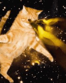 game changer audio plasma coil space cowboys laser cat red bull game changer audio plasma coil space cowboys laser cat red bull