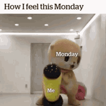 Monday Relatable GIF - Monday Relatable GIFs
