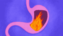 Belly Burn GIF - Belly Burn Burning GIFs