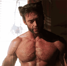 Abell46s Reface GIF - Abell46s Reface Wolverine GIFs