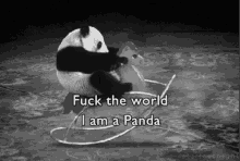 Panda F The World GIF - Panda F The World GIFs
