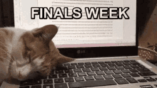 Finals Week Cats Ruin Everything GIF - Finals Week Cats Ruin Everything Meme GIFs