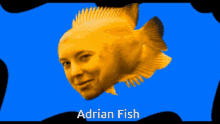 Adrian Fish Swimming GIF - Adrian Fish Fish Swimming GIFs