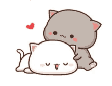 Cute Cuddles GIF - Cute Cuddles Kitten GIFs