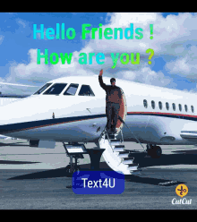 Hello Friends GIF - Hello Friends Plane GIFs