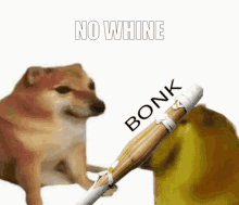 No Whine Bonk GIF - No Whine Bonk GIFs
