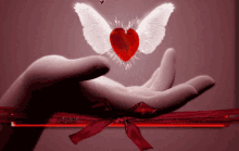 Heart Love GIF - Heart Love Wings GIFs
