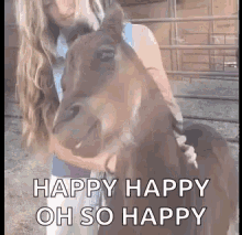 horse laugh happy horse horse pets