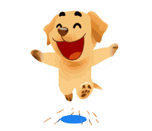 happydog happiness