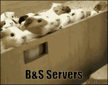 Blade And Soul Rat GIF - Blade And Soul Rat Cute GIFs