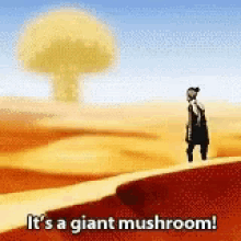 Sokka It Is A Giant Mushroom GIF - Sokka It Is A Giant Mushroom Avatar GIFs