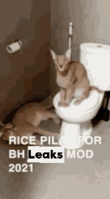 Ricepilaf Floppa GIF - Ricepilaf Rice Floppa GIFs