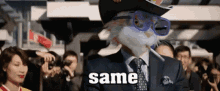 Fluf World Same Same GIF - Fluf World Same Same Same Same But Different GIFs