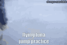 Flying Tuna Osu GIF - Flying Tuna Osu Fieryrage GIFs