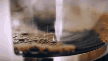 Brewed Coffee National Geographic GIF - Brewed Coffee National Geographic Caffeine GIFs
