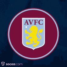 Aston Villa Afvc GIF - Aston Villa Afvc Avfc GIFs