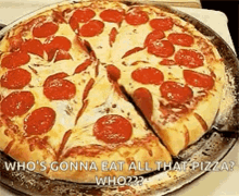 Pizza Slice GIF - Pizza Slice Mozzarella GIFs