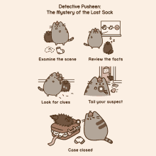 pusheen steps detective pusheen mystery of the lost sock examine the scene review the facts
