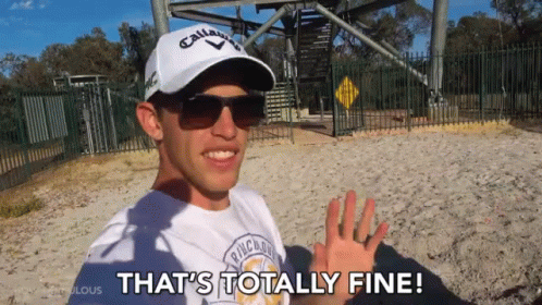Thats Totally Fine Its Fine GIF - Thats Totally Fine Its Fine Alright -  Descubre &amp; Comparte GIFs