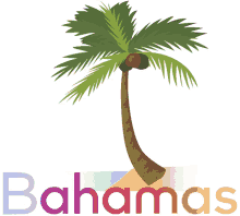 bahamas otbahamas ilesdesbahamas coco coconut