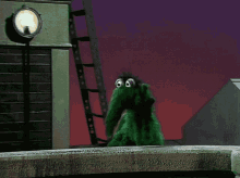 Muppets Droop GIF - Muppets Droop Hate GIFs