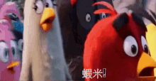 憤怒鳥 Angry Birds GIF - 憤怒fury Madness Anger Anguish GIFs