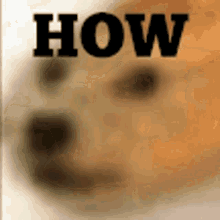 How Doge GIF - How Doge Howdoge GIFs