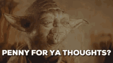 Yoda Pennyforyour GIF - Yoda Pennyforyour Thoughts GIFs