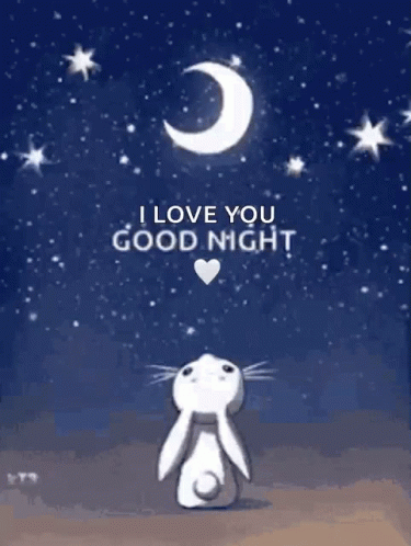 Good Night Bunny GIF - Good Night Bunny Watching GIFs
