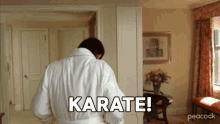 Karate Devon Banks GIF - Karate Devon Banks Will Arnett GIFs