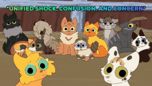 unified shock confusion and concern shock confusion concern moonkitti