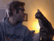 cats friends cats friends