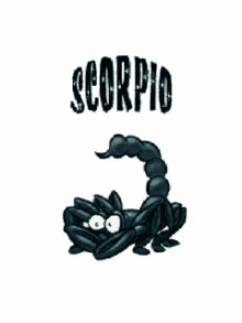 scorpion scorpio