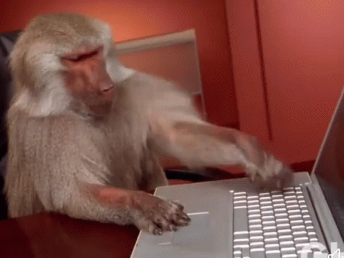 Typing Monkey GIFs | Tenor