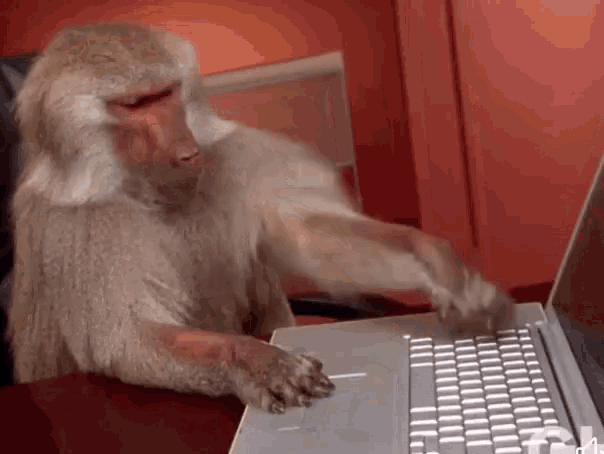 Monkey Keyboard GIFs Tenor.