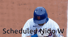 Nido Mets GIF - Nido Mets Metsfan GIFs