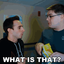 What Is That Anthony Mennella GIF - What Is That Anthony Mennella Culter35 GIFs