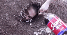pouring ian carter cola in your face idubbbztv pouring ian carter cola in your face idubbbztv