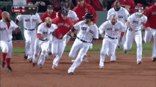 Red Sox GIF - Red Sox Win Chase GIFs