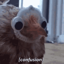 Confusion Chicken GIF - Confusion Chicken GIFs