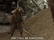 Rocket Raccoon Dont Call Me A Raccoon GIF - Rocket Raccoon Dont Call Me A Raccoon Gotg GIFs