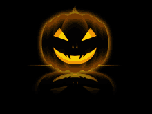 Pumpkin Patch GIF - Pumpkin Patch Halloween GIFs