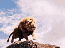 Aslan Roar GIF - Aslan Roar Lion GIFs