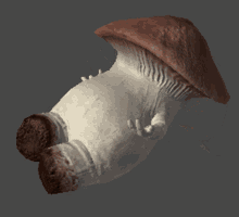 Mantar Adam Düşme Animasyonu Mushroom GIF - Mantar Adam Düşme Animasyonu Mushroom Mushroom Man GIFs