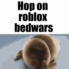 Robox Bedwars GIF - Robox Bedwars Roblox Bedwars GIFs