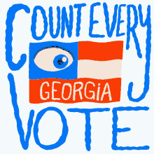 count every vote every vote counts georgia georgia runoff runoff